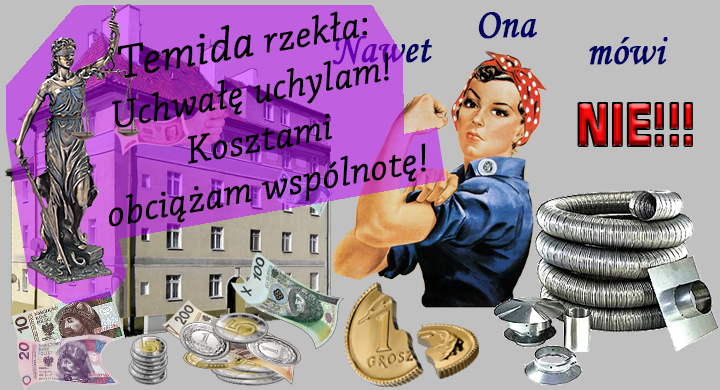 Wkład kominowy